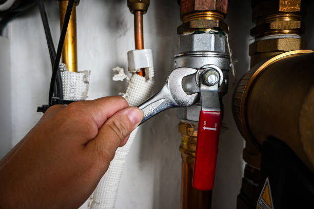 Best Local Plumber Services  in Manawa, WI